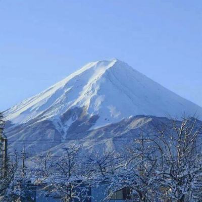 特攻先锋求生破解版下载