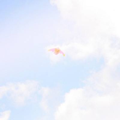 英雄神殿手游下载