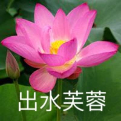 寒灵之剑九游版手游